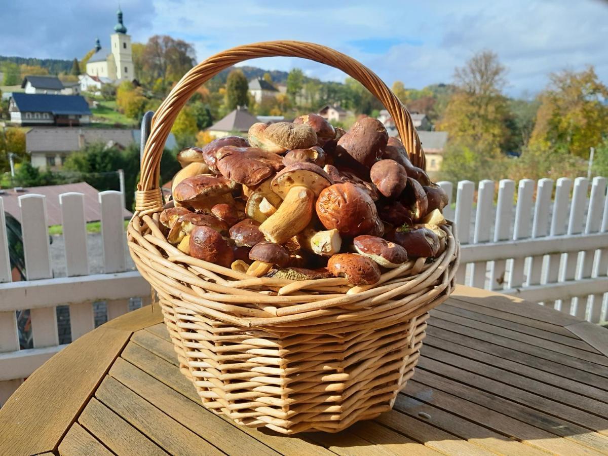 Pension Jana - Wellness Jilemnice Zewnętrze zdjęcie