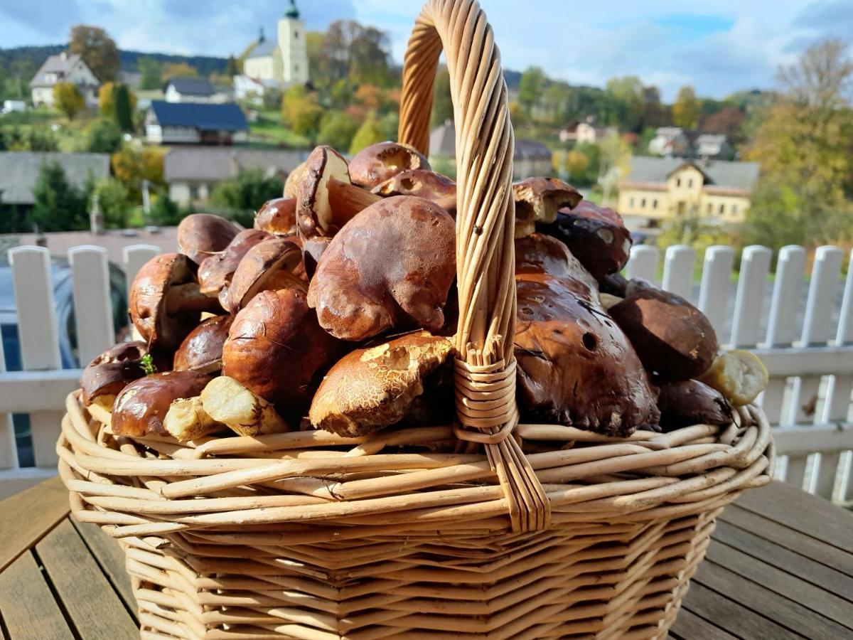 Pension Jana - Wellness Jilemnice Zewnętrze zdjęcie