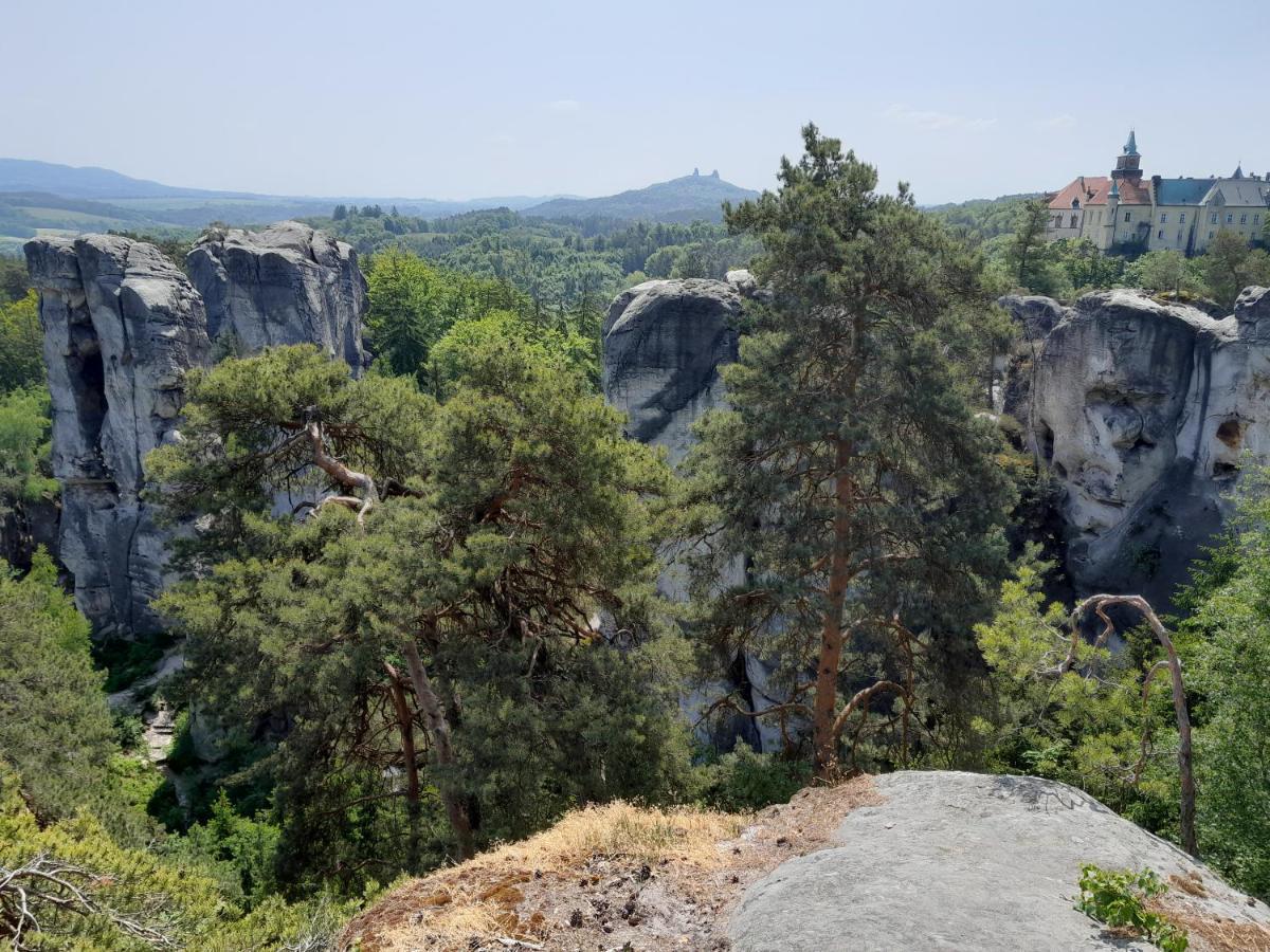 Pension Jana - Wellness Jilemnice Zewnętrze zdjęcie